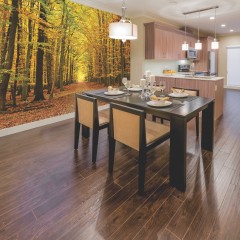 Fototapet Autumn Forest L, Spice, Origin Murals, 350x280cm