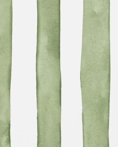 Wallpaper cu linii verticale de un verde delicat pe fond alb
