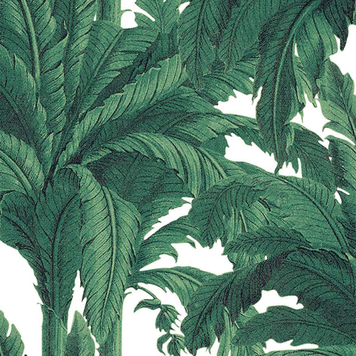 Tapet PaperMint PPM-musa220R10TW. Conține culorile:
