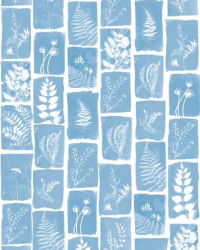 Empreinte Végétale, Bleu Clair, PaperMint