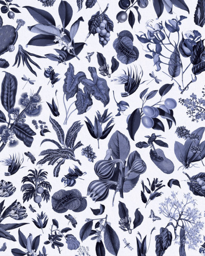 Jardin d'Autrefois, Gris Bleuté, PaperMint