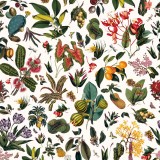 Jardin d'Autrefois, Papier Vergé, PaperMint