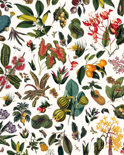 Tapet floral cu un design inspirat din grădinile de altădată, cu frunze, flori și insecte, pe un fond crem cu textură de hârtie de pergament.