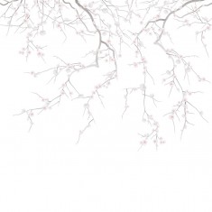 Fototapet Sakura, Blanc, PaperMint