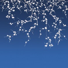 Fototapet Sakura, Bleu Foncé, PaperMint
