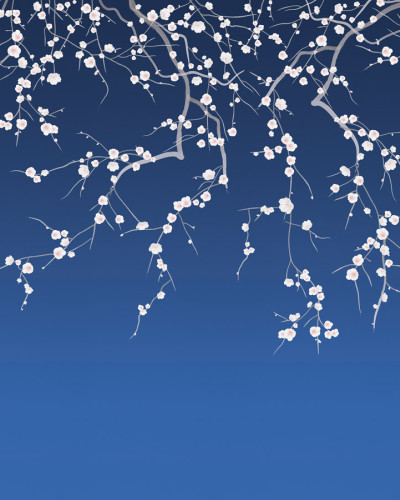 Tapet Sakura, Bleu Foncé, PaperMint cu flori de cires albe pe un fundal albastru inchis