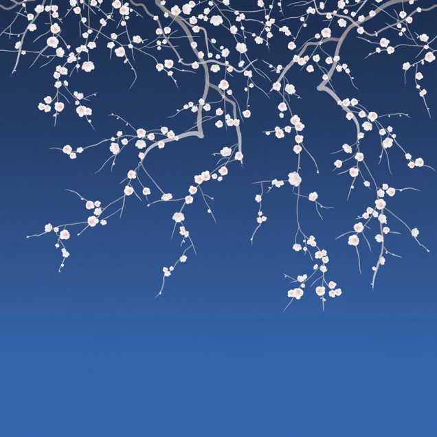 Tapet Sakura, Bleu Foncé, PaperMint cu flori de cires albe pe un fundal albastru inchis