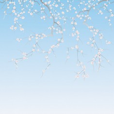 Fototapet Sakura, Bleu Ciel, PaperMint