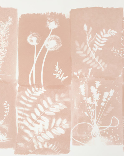 Cyanotype Fleurs des Champs, Beige Solaire, PaperMint