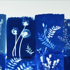 Fototapet Cyanotype Fleurs des Champs, Bleu Denim, PaperMint
