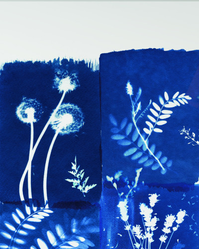 Wallpaper cu un design vintage de plante alb-negru, perfect pentru living, dormitor sau birou.