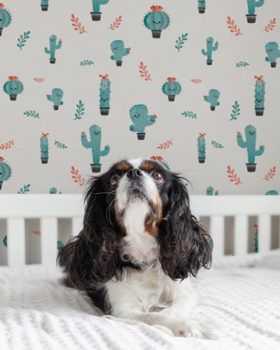 Cactus, Bleu, 5.3mp / rola, PaperMint