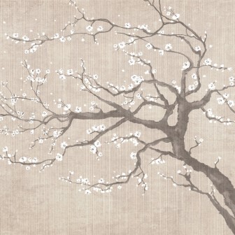 Fototapet Sakura Spring IV, Photowall