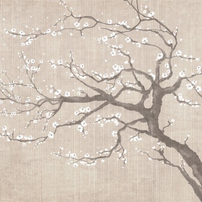 Tapet Sakura Spring IV cu un copac de sakura cu flori albe delicate pe un fundal texturat bej, instalat pe un perete din sufragerie