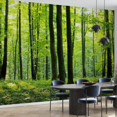 Tapet Rural Forest, cu o imagine realistică a unei păduri, perfect pentru a decora livingul, dormitorul sau orice altă cameră din casa dumneavoastră.