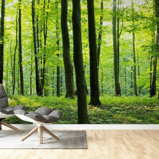Tapet Rural Forest, cu o imagine realistică a unei păduri, perfect pentru a decora livingul, dormitorul sau orice altă cameră din casa dumneavoastră.