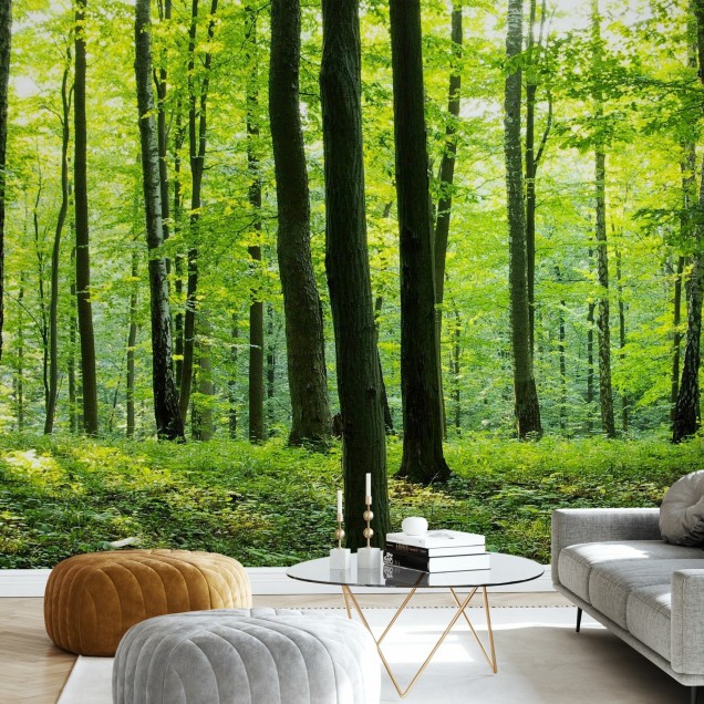 Tapet Rural Forest, cu o imagine realistică a unei păduri, perfect pentru a decora livingul, dormitorul sau orice altă cameră din casa dumneavoastră.