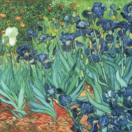 Fototapet Irises, Vincent van Gogh, Personalizat, Photowall