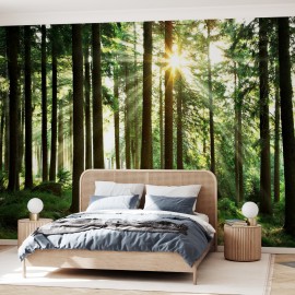 Fototapet Sunbeam through Trees, Personalizat, Photowall