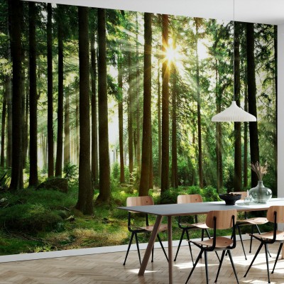 Fototapet Sunbeam through Trees, Personalizat, Photowall, Fototapet living 