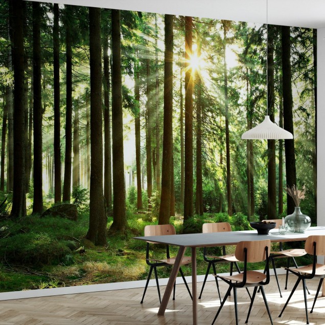 Tapet cu un design natural, Sunbeam through Trees, ce prezintă o pădure de pini și razele soarelui ce pătrund prin copaci.