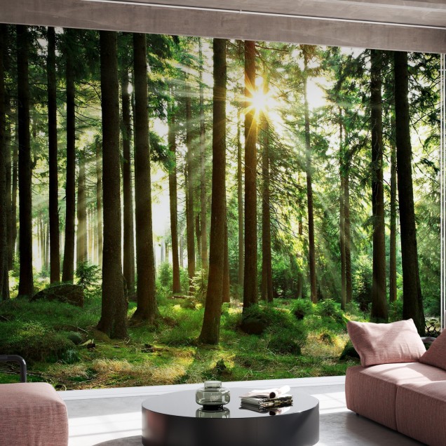 Tapet cu un design natural, Sunbeam through Trees, ce prezintă o pădure de pini și razele soarelui ce pătrund prin copaci.