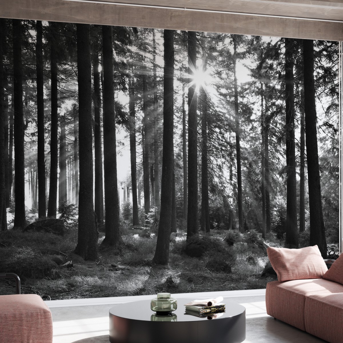 Fototapet Sunbeam through Trees, Monochrome, Personalizat, Photowall, Fototapet living 