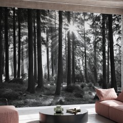 Fototapet Sunbeam through Trees, Monochrome, Personalizat, Photowall