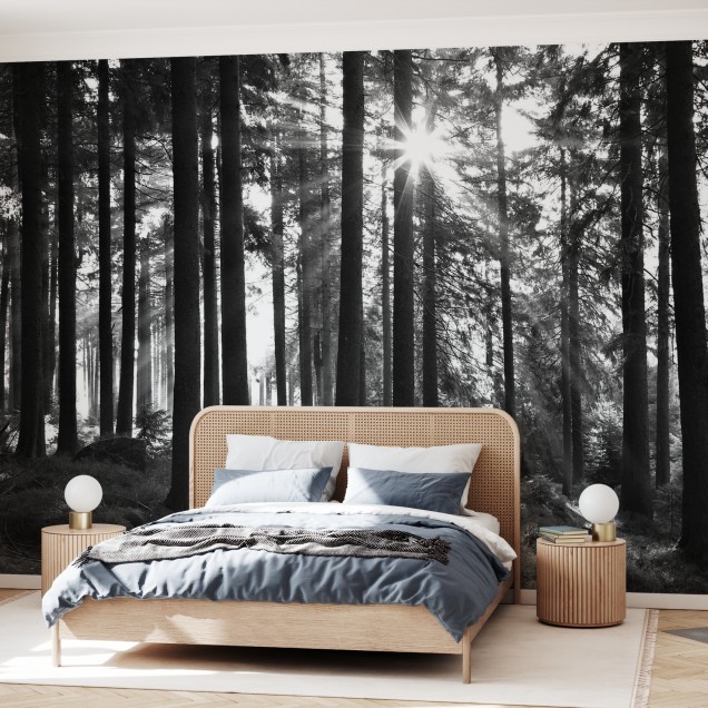 Tapet Sunbeam through Trees, Monochrome