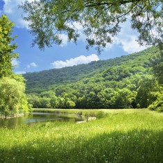 Fototapet Summer Landscape with River, personalizat, Photowall