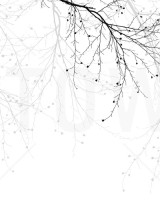 Black Beech, Photowall