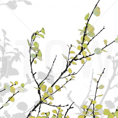 Fototapet Photowall PHW-E19525. Conține culorile: Galben, Galben Sulfuric, Verde, Verde Măsliniu, Negru, Negru Trafic