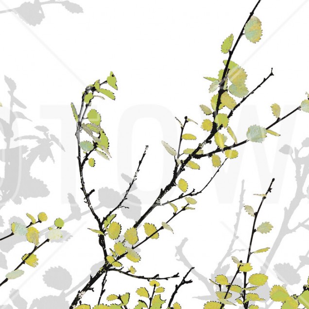 Fototapet Photowall PHW-E19525. Conține culorile: Galben, Galben Sulfuric, Verde, Verde Măsliniu, Negru, Negru Trafic