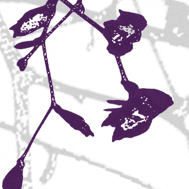 Fototapet Photowall PHW-E19528. Conține culorile: Violet, Violet-Mov, Roșu, Roșu Lila, Alb, Alb Semnal, Violet, Violet Pastel, Verde, Verde Pastel