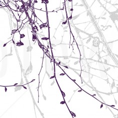 Fototapet Spring Beech, Midnight, personalizat, Photowall