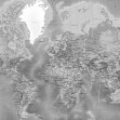 Fototapet World Map, Detailed with Roads, Grey, Photowall
