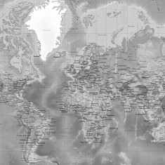 Fototapet World Map, Detailed with Roads, Grey, personalizat, Photowall