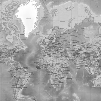 Fototapet World Map, Detailed with Roads, Grey, Photowall