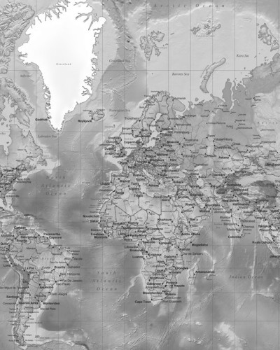World Map, Detailed with Roads, Grey, Photowall