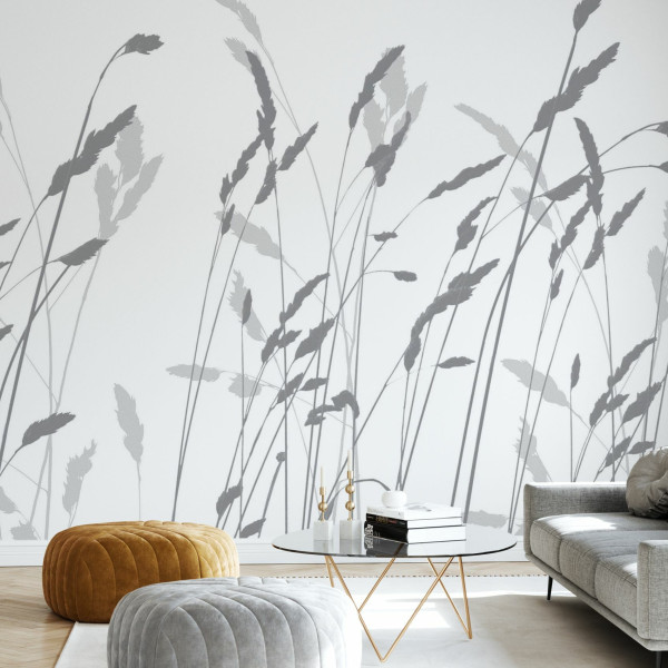 Straw, Shadow, Photowall