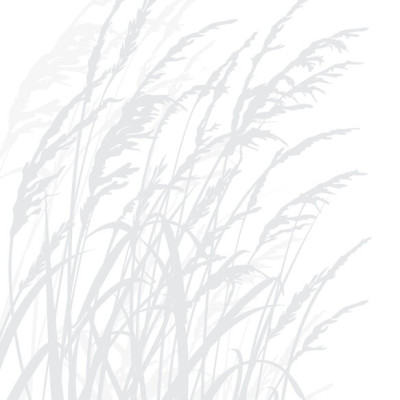 Tapet cu iarbă gri deschis, Grass, Light Grey, în living