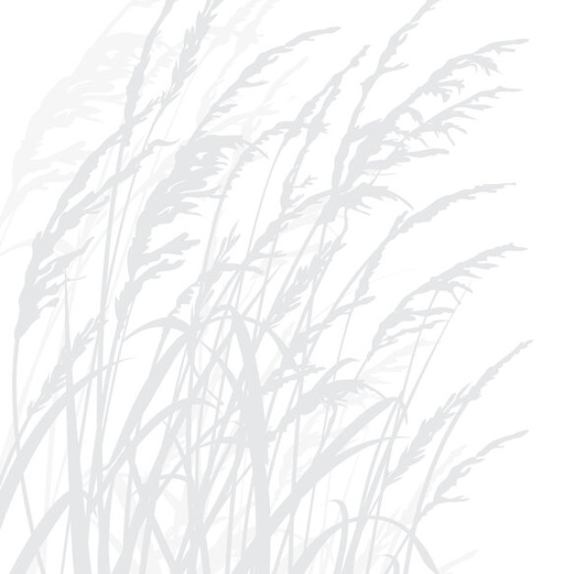 Tapet cu iarbă gri deschis, Grass, Light Grey, în living