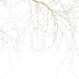 Black Beech, Beige, Photowall