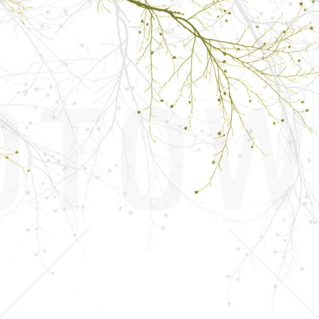 Fototapet Photowall PHW-E20235. Conține culorile: Alb, Alb Pur, Verde, Verde-Galben, Verde, Verde Ferigă, Galben, Galben Sulfuric, Alb, Alb Semnal