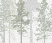 Foto tapet 3D Pădure, Verde, personalizat, Photowall
