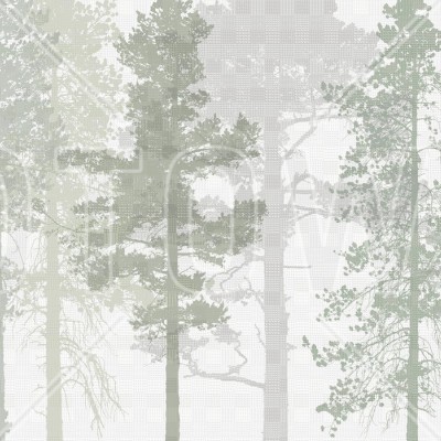 Foto tapet 3D Pădure, Verde, personalizat, Photowall, National Geografic 
