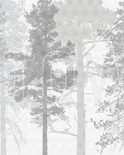 Weaving Wood, Grey, Photowall