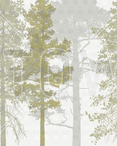 Weaving Wood, Ochre, Photowall