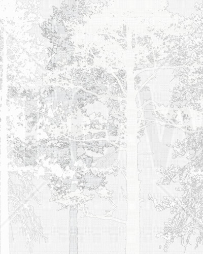 Weaving Wood, White, Photowall