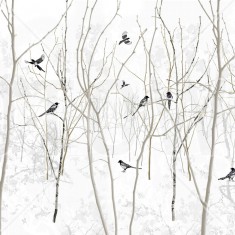 Fototapet Pattern Magpie, personalizat, Photowall